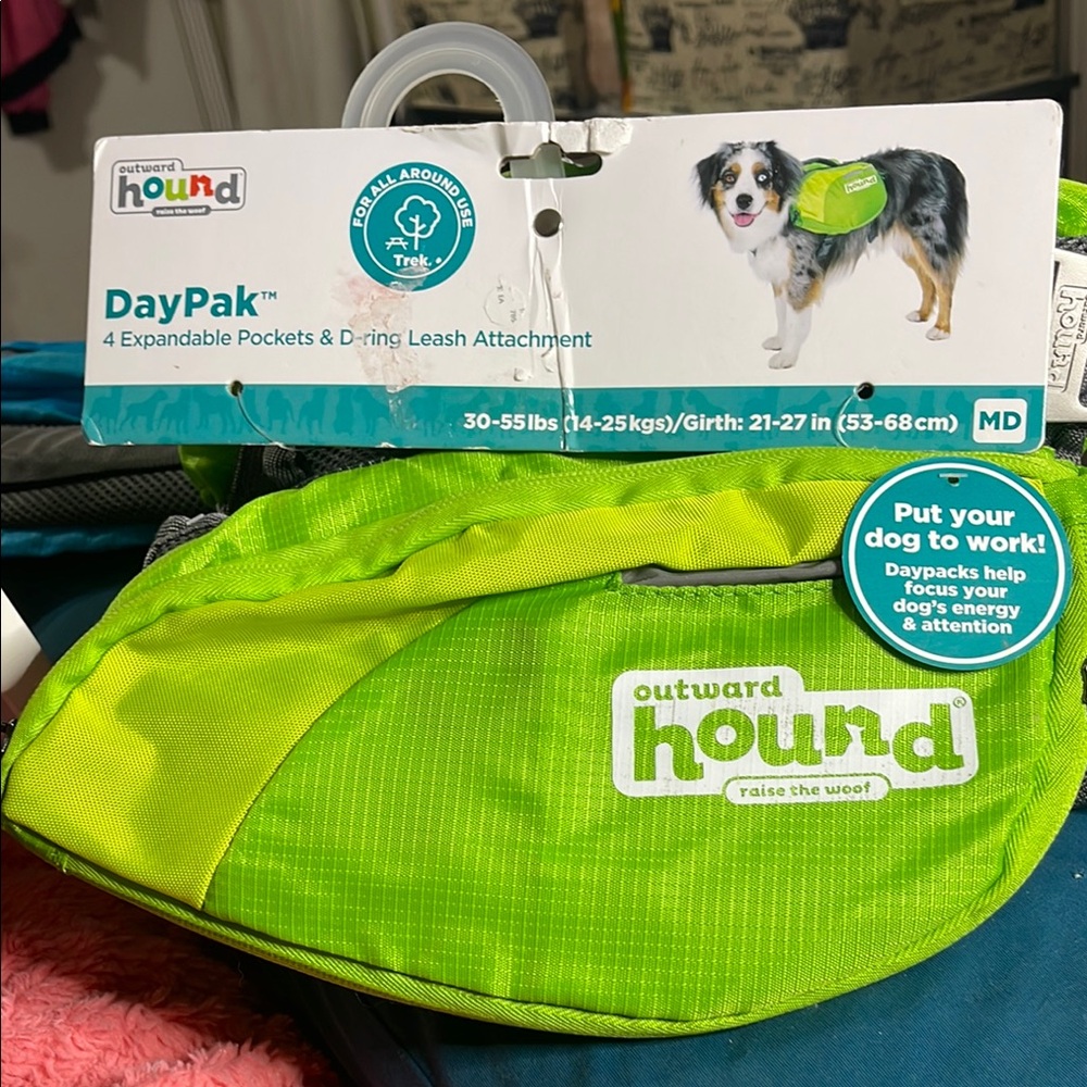 Outward Hound Green and Gray Dog Collar